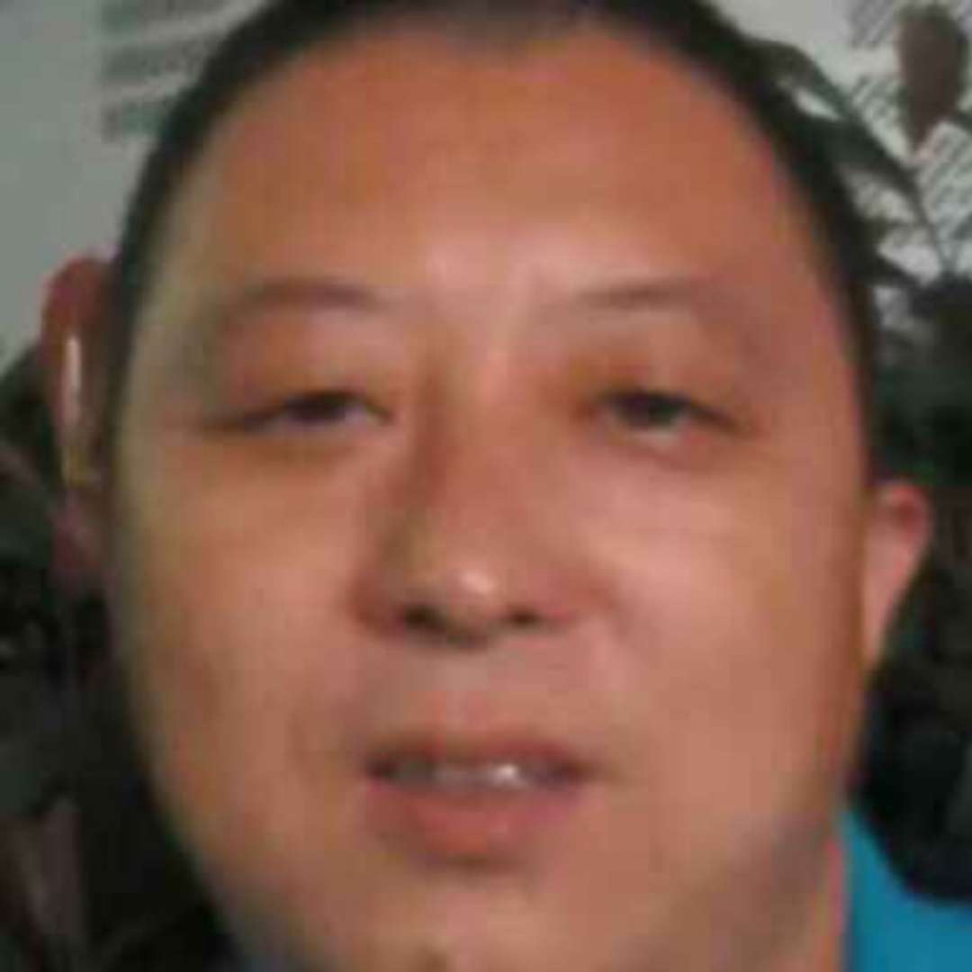 树叶还拼搏的照片