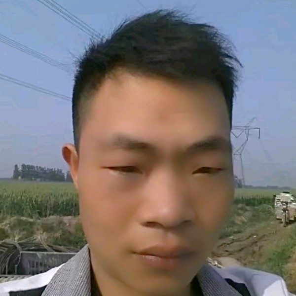 大炮踢会撒娇的照片