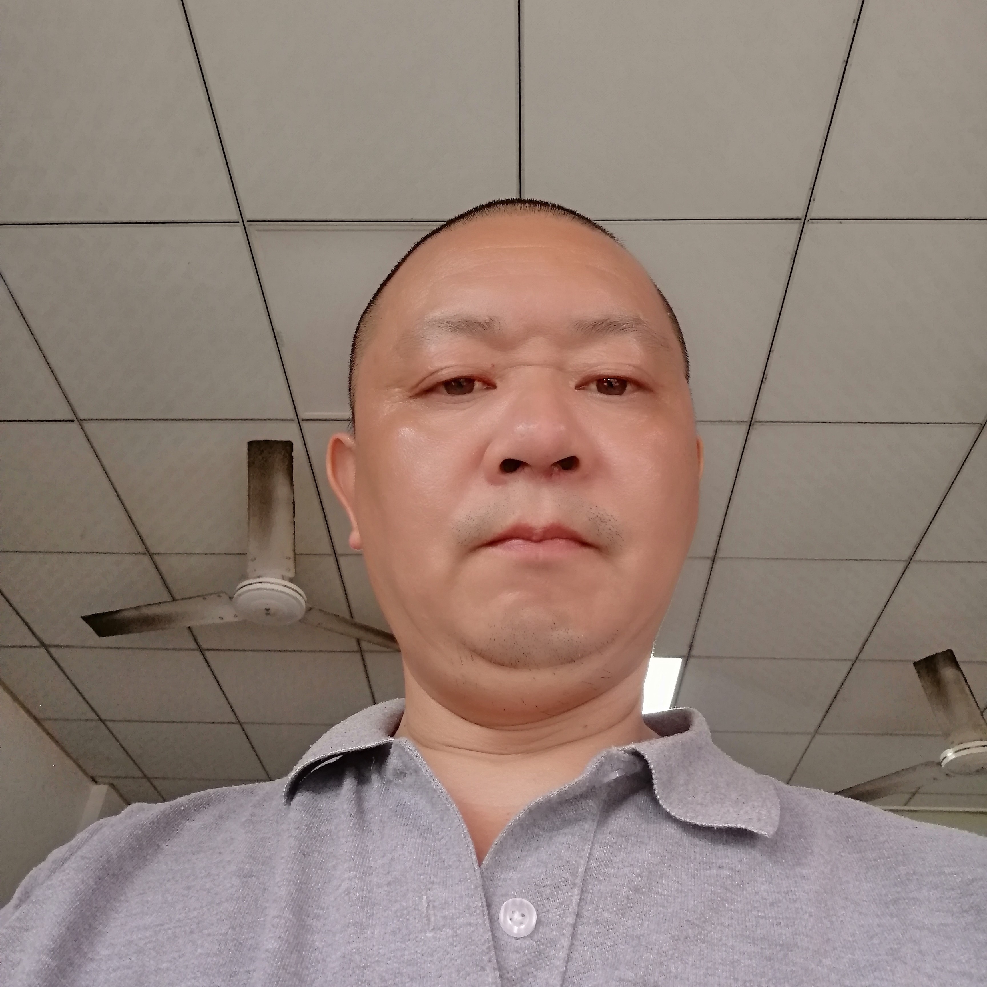 惊鸿苦恋干净的照片