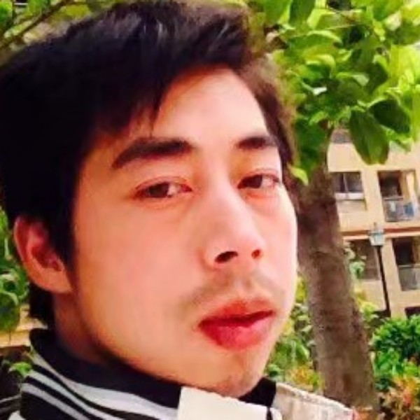 平淡羽毛的照片