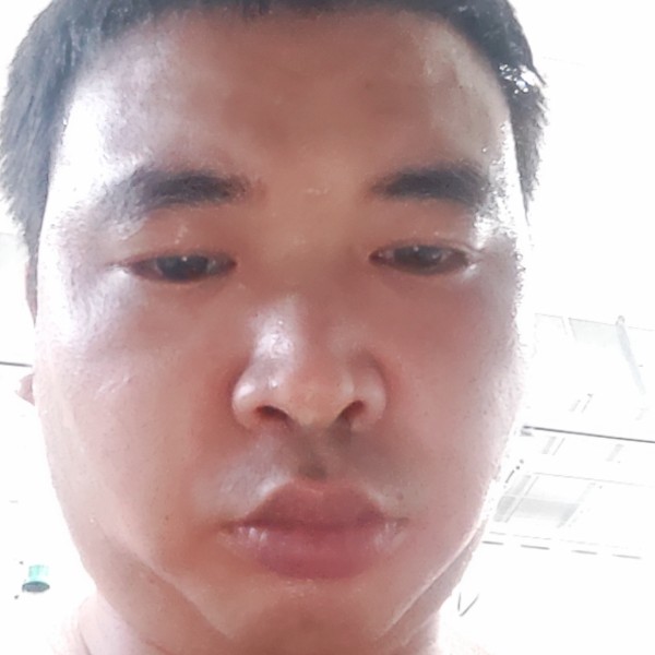 石头演变迷路的照片