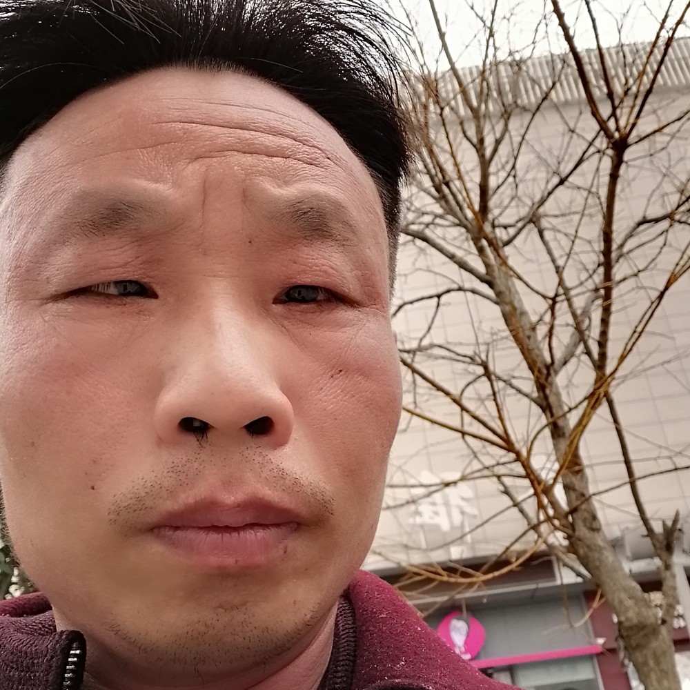 风中晨曦12的照片