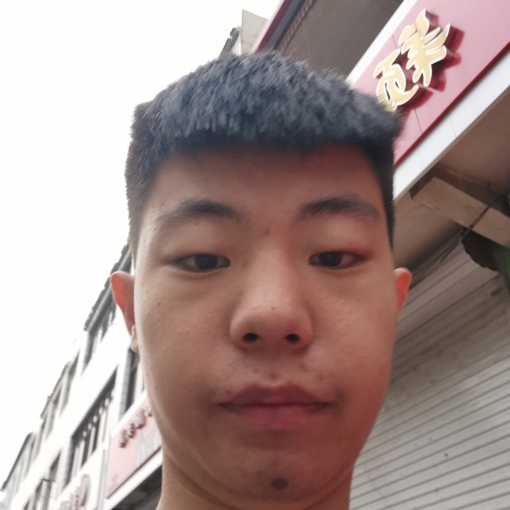 枯木马的照片