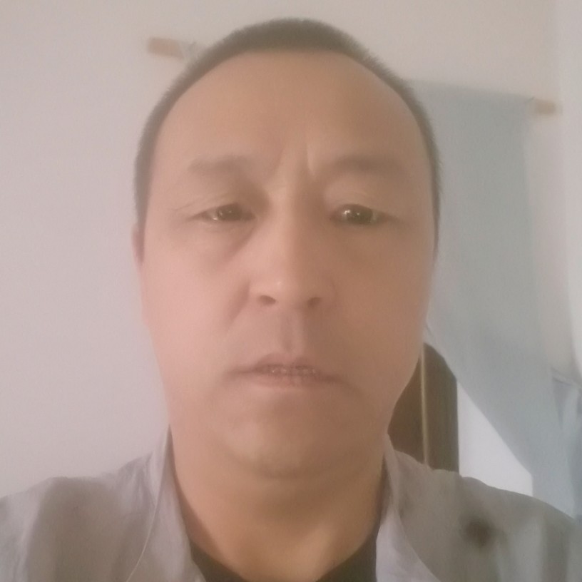 孤独的夜鹰的照片