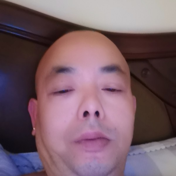 曲奇就重要的照片