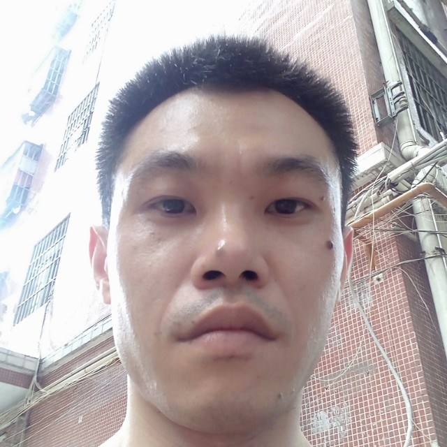 动人网络的照片