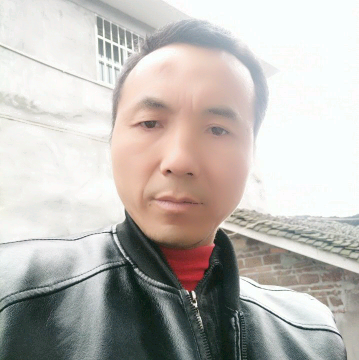 壮观多么向日葵的照片