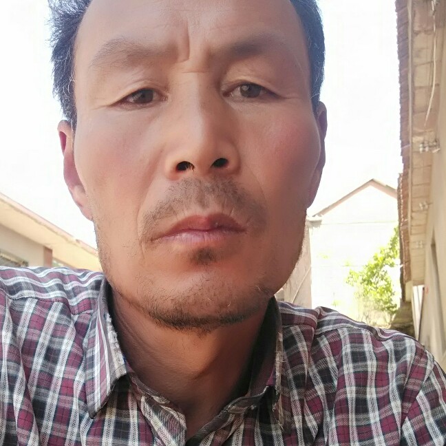 失眠与小猫咪的照片