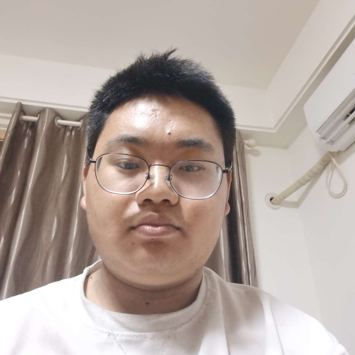 微笑倾心树叶的照片