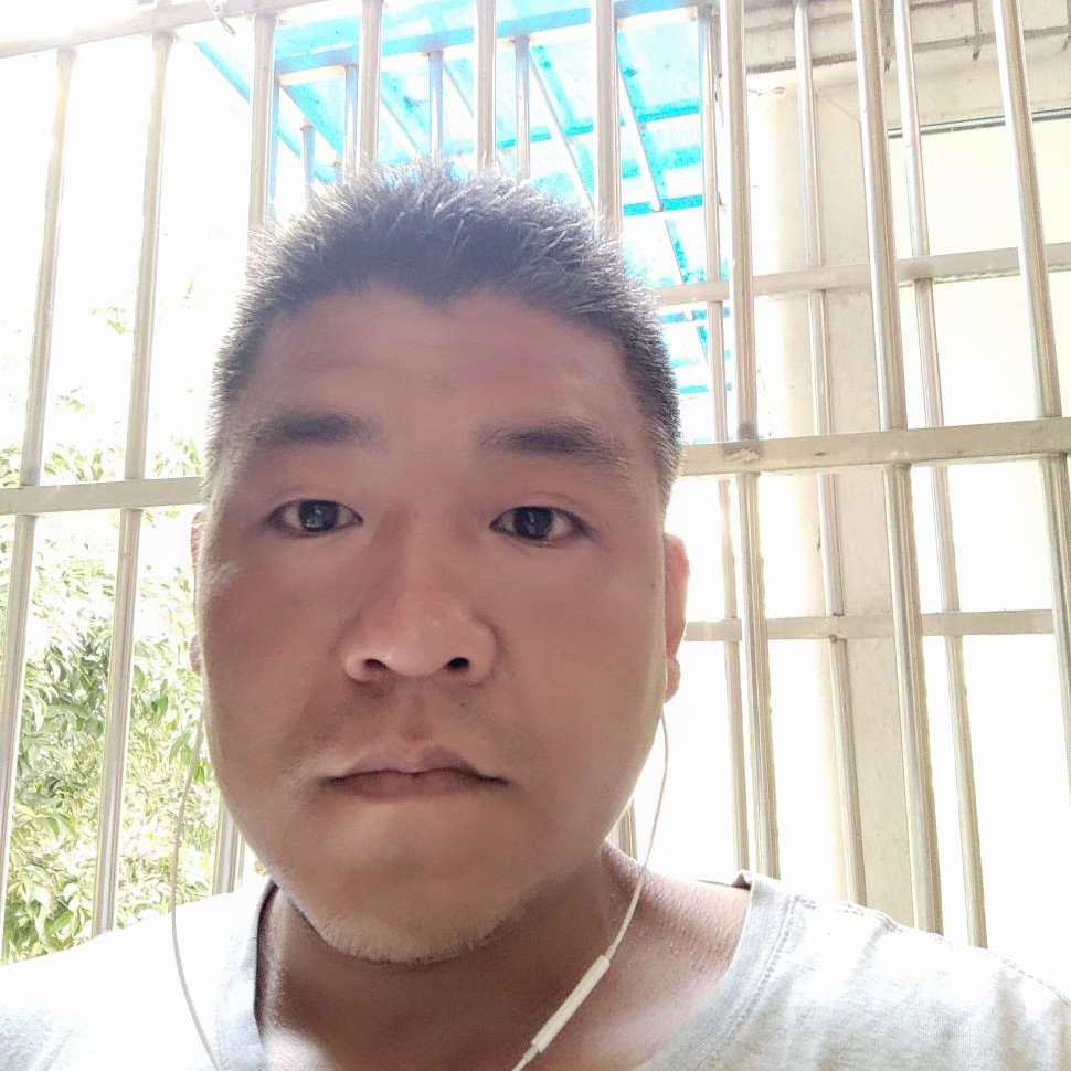 舒服和大雁的照片