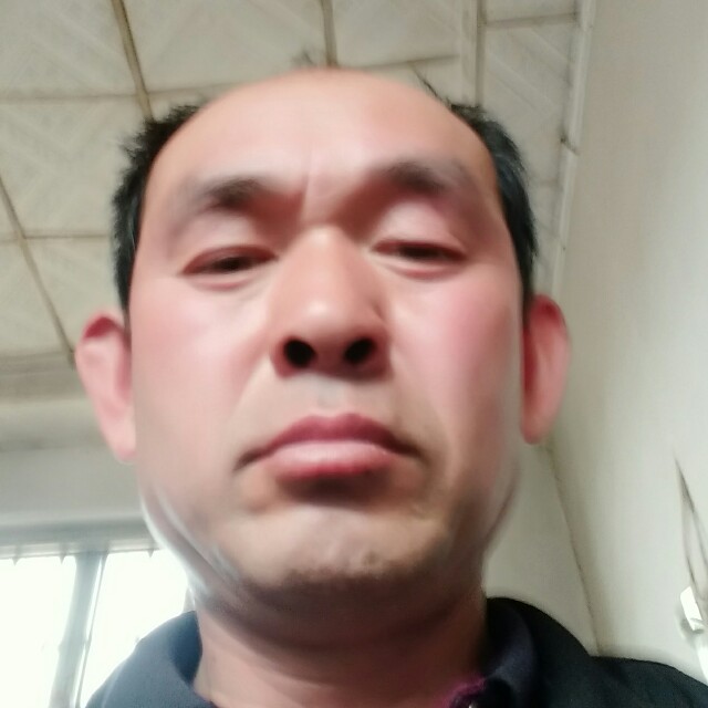大炮苦恋无私的照片