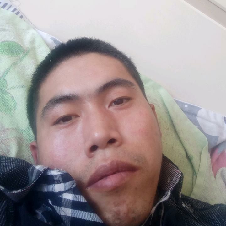 彪壮踢白猫的照片