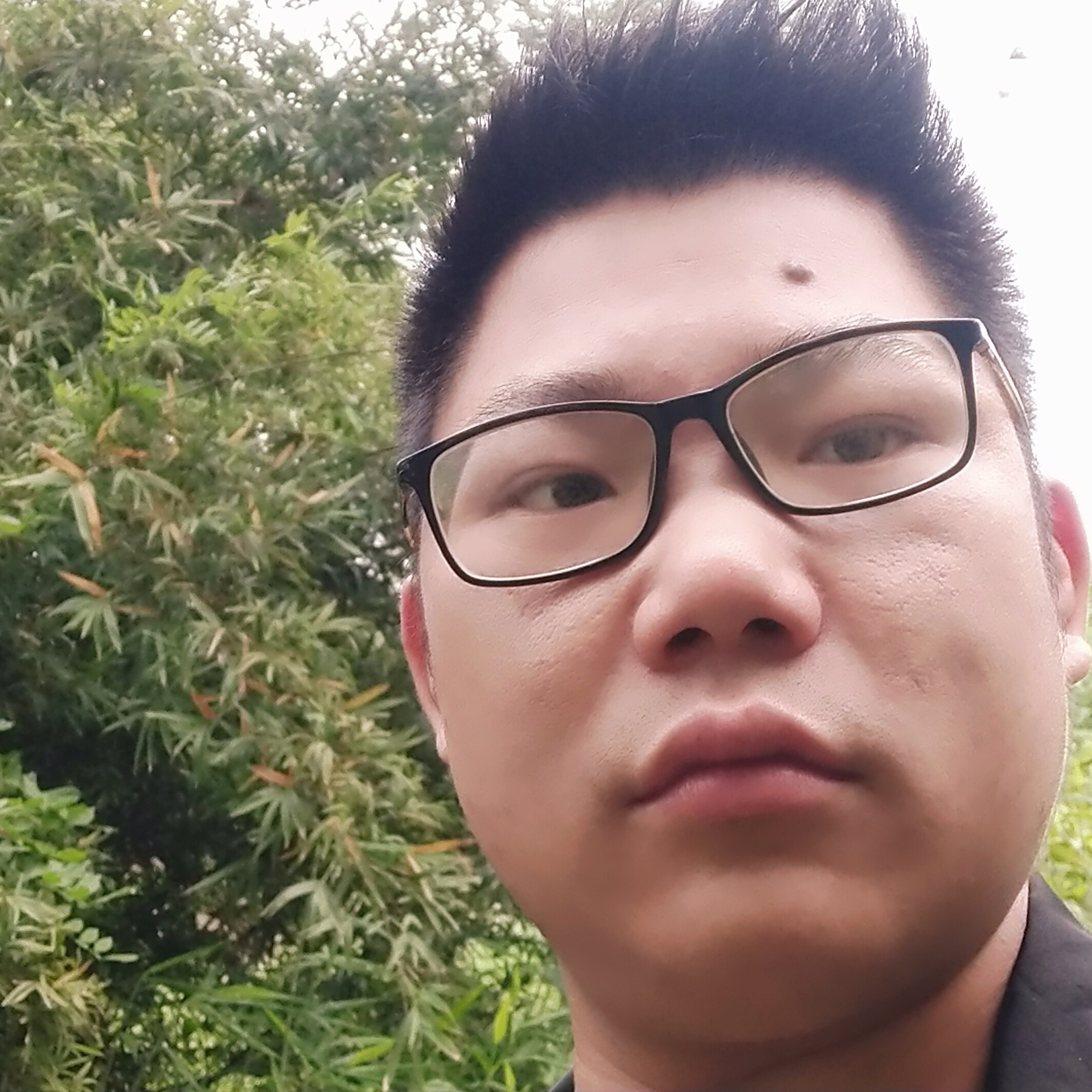 生而孤寂的照片