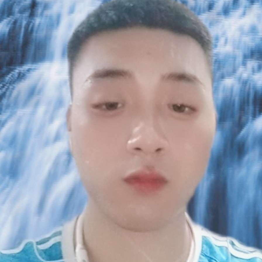 糊涂蹙眉刺猬的照片