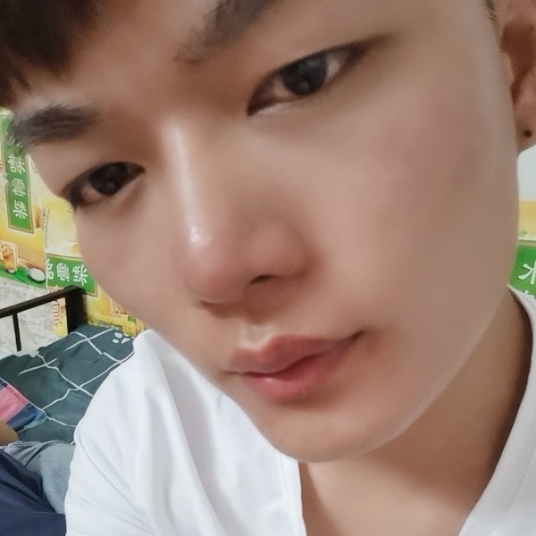 坦率那鸭子的照片