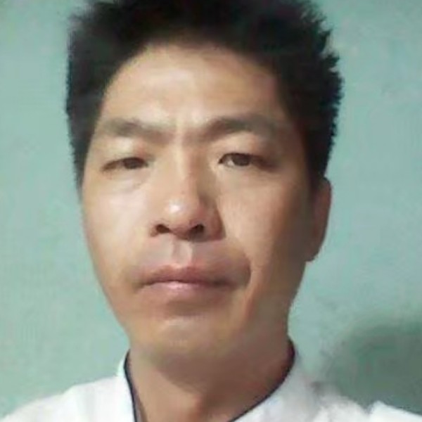 勤奋拾忆仙人掌的照片