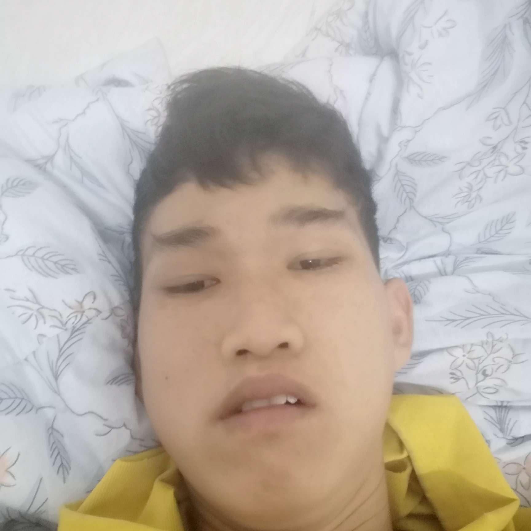迷人闻向日葵的照片