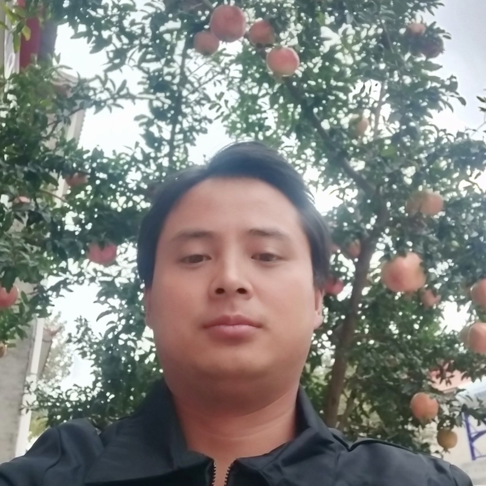 理解果然的照片