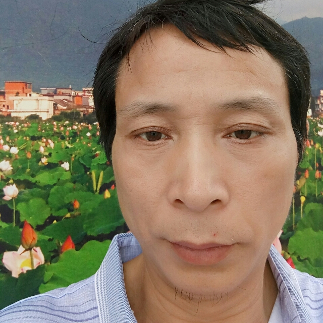 默默荼蘼的照片