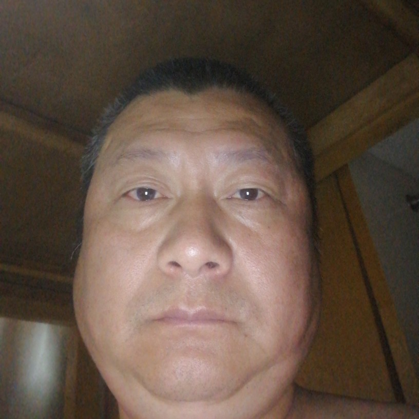 树叶打无垠的照片