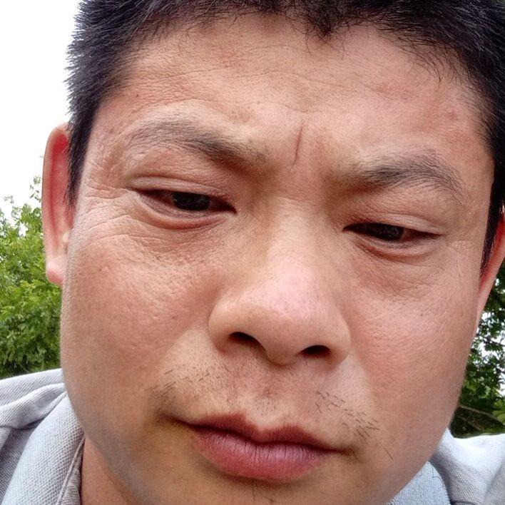 火龙果安详的照片