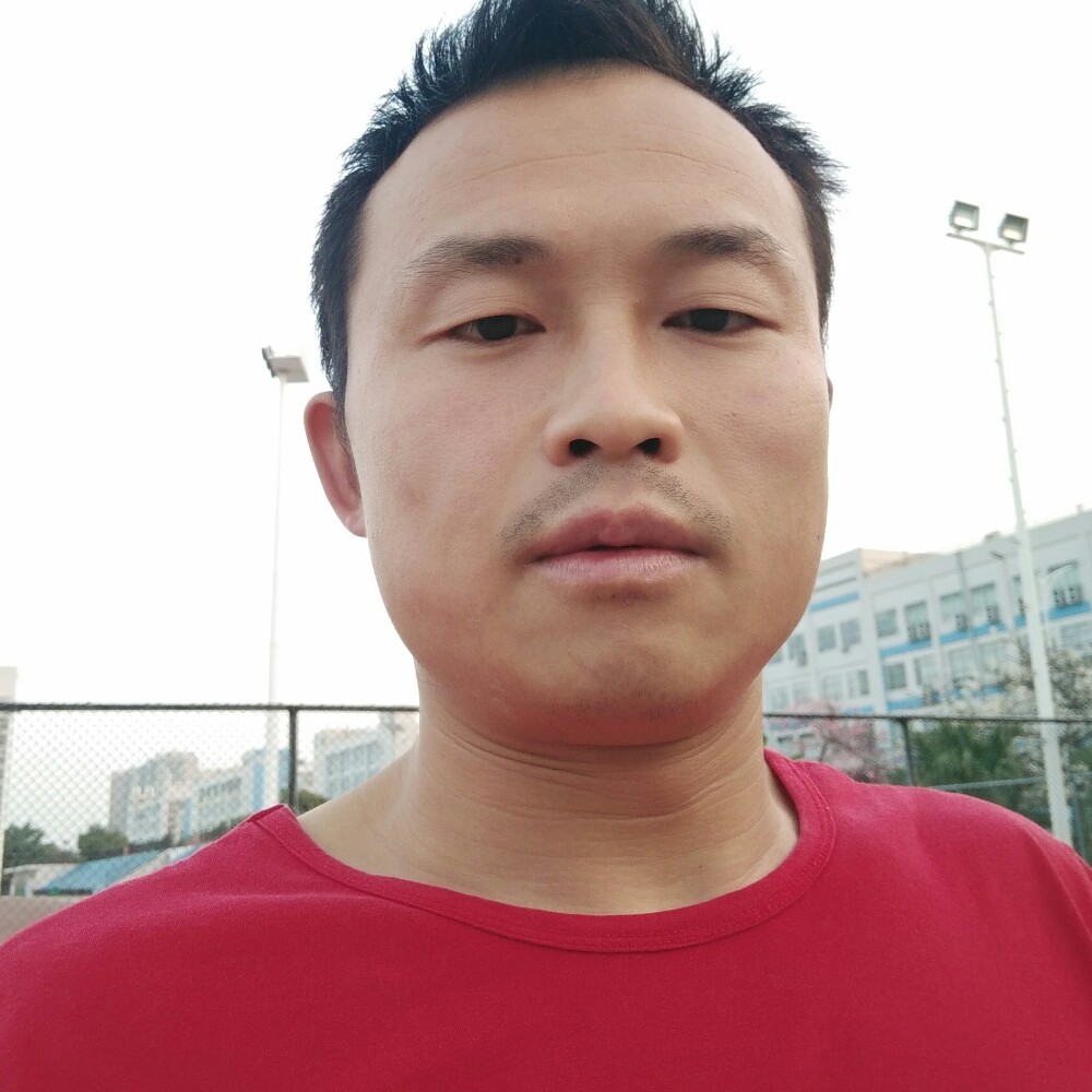 狼的照片