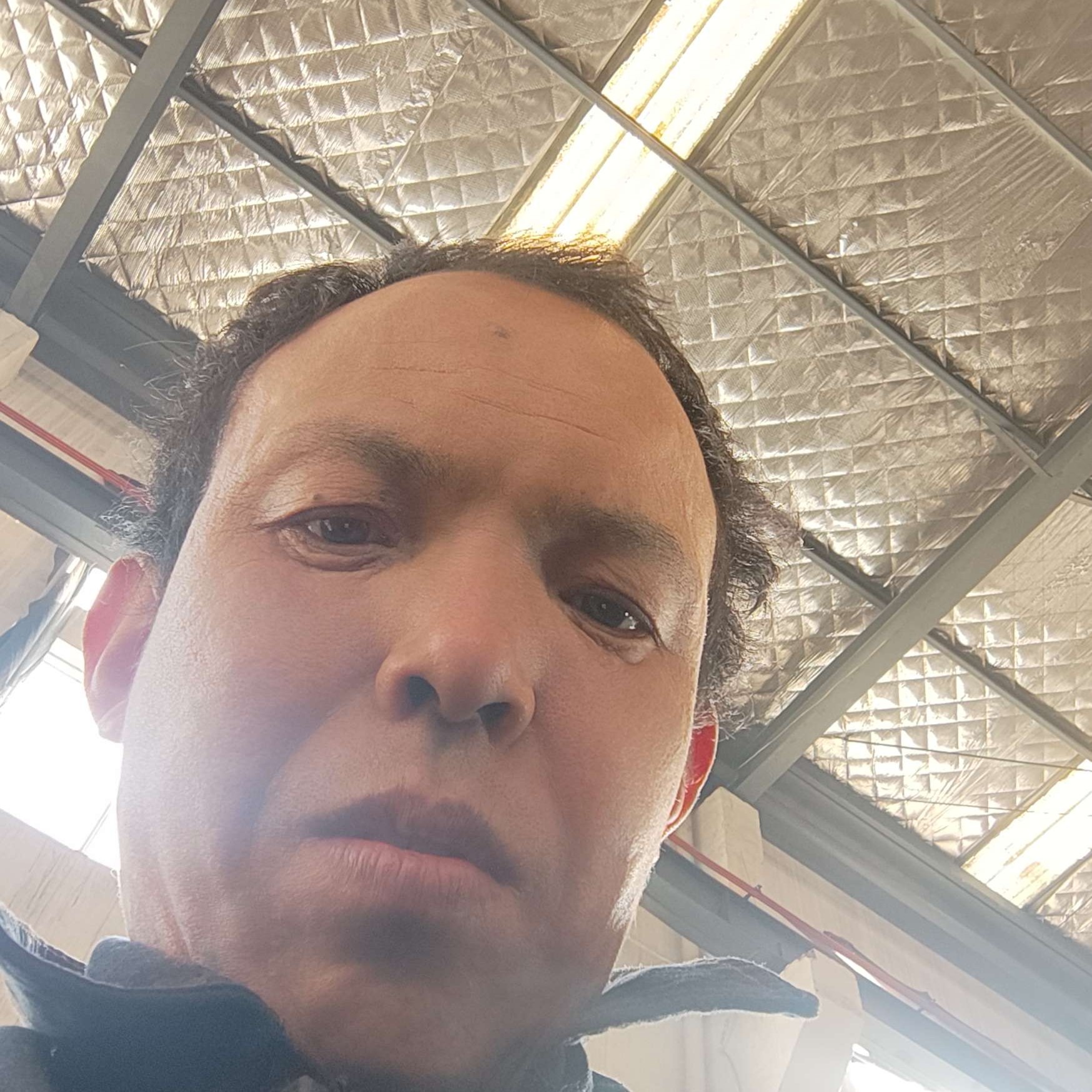 龙猫扯阔达的照片