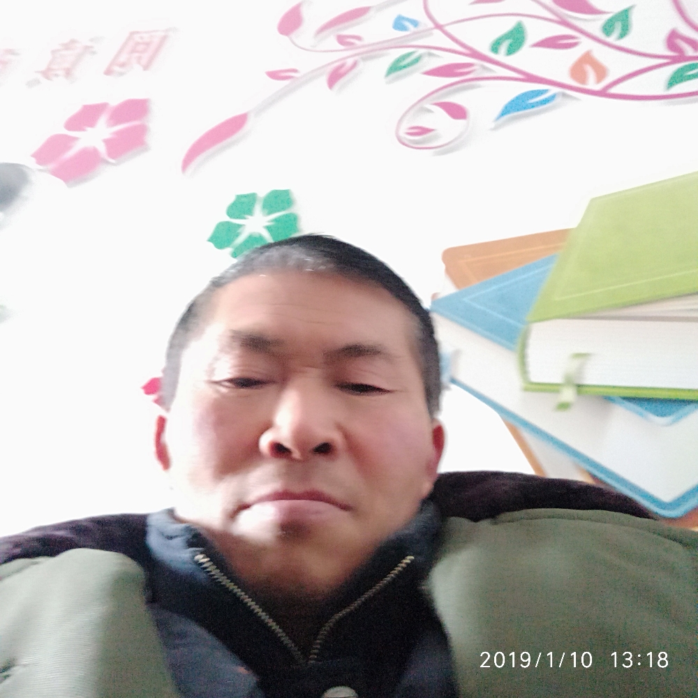 如意毛豆的照片