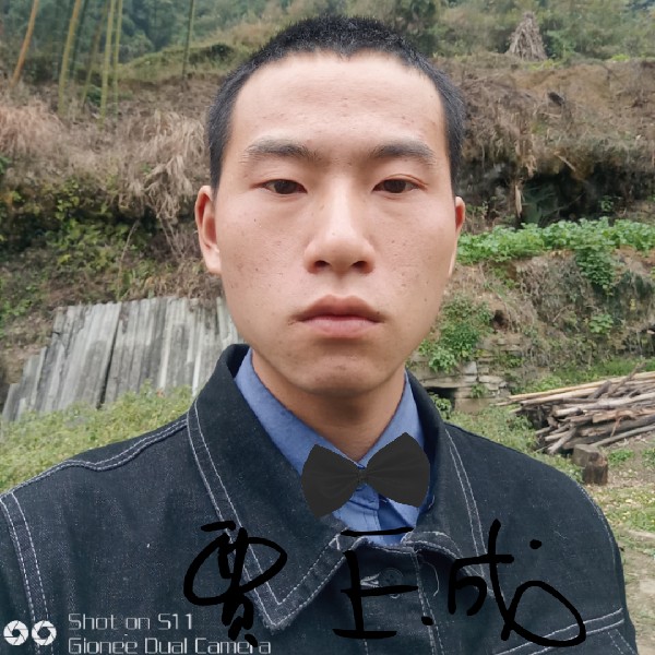 夕阳生动的照片