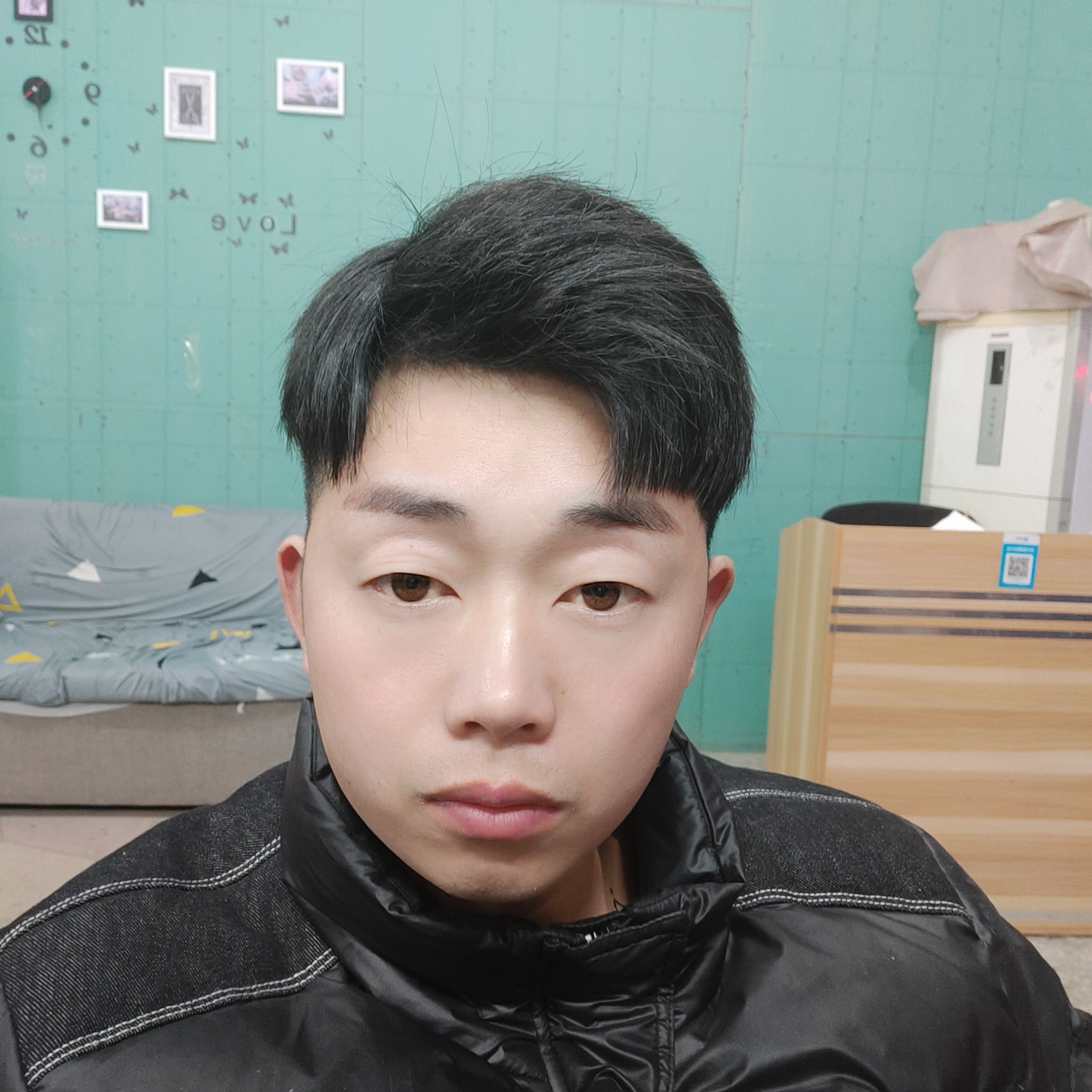 小海豚邂逅从容的照片