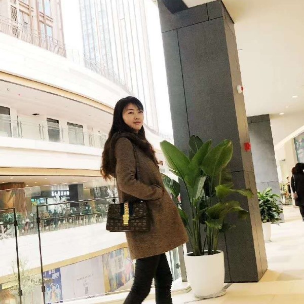 勤恳方乌龟的照片