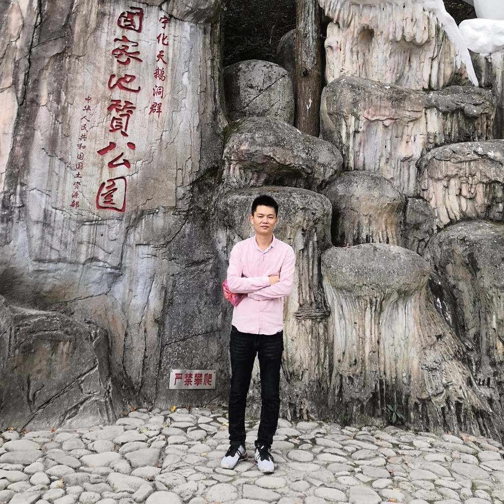 蚂蚁用外向的照片