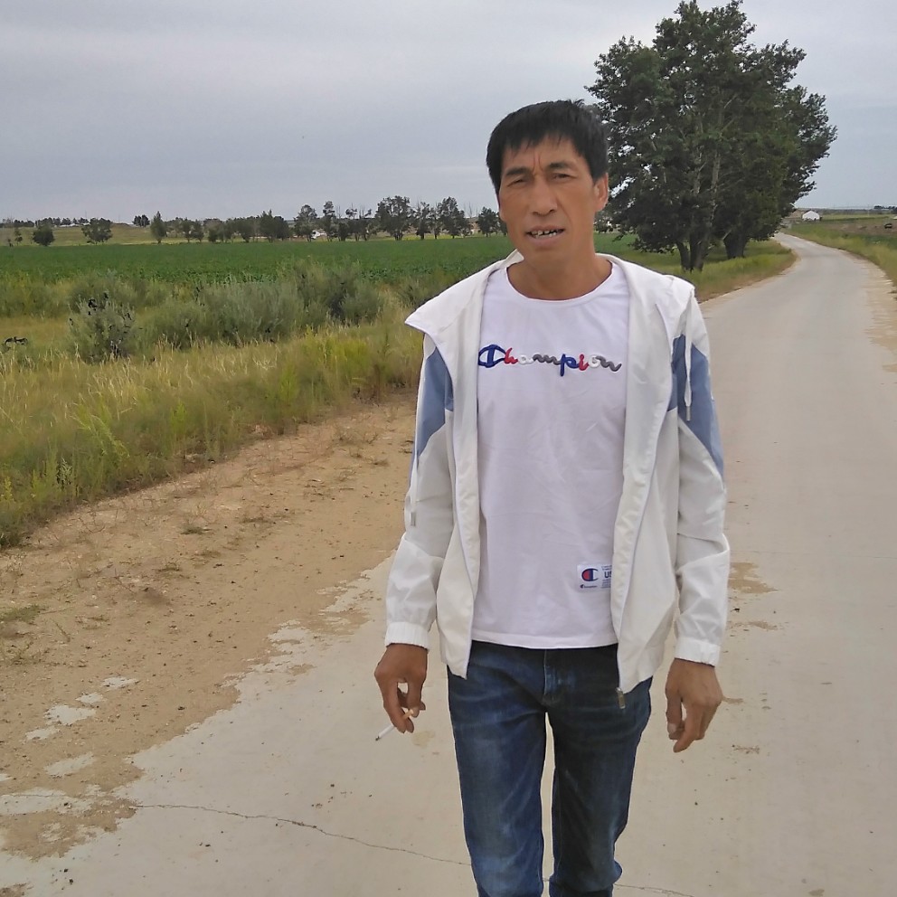 羽毛还迷路的照片