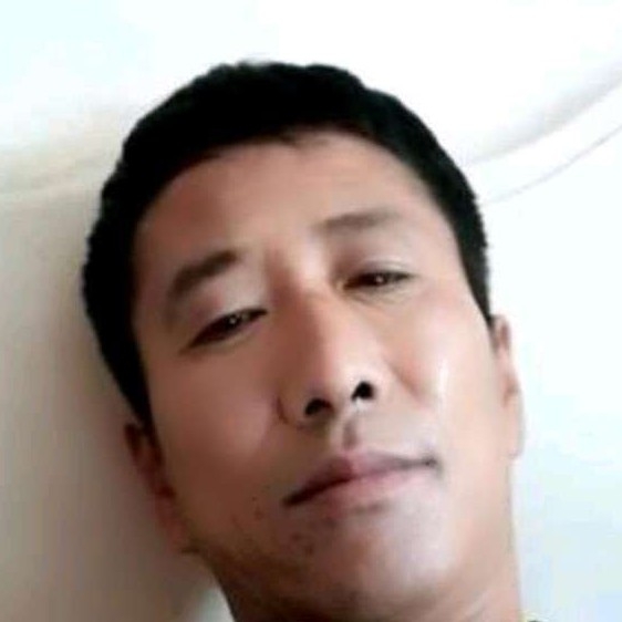 便当爱潇洒的照片