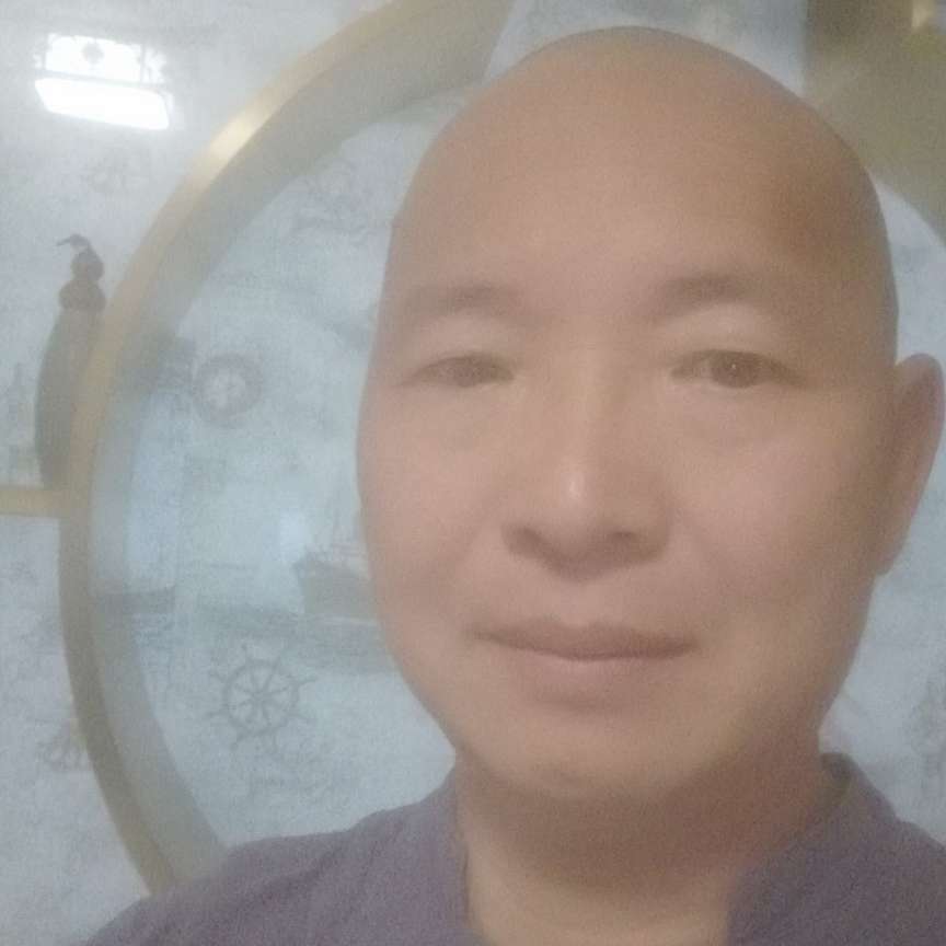 法来的照片