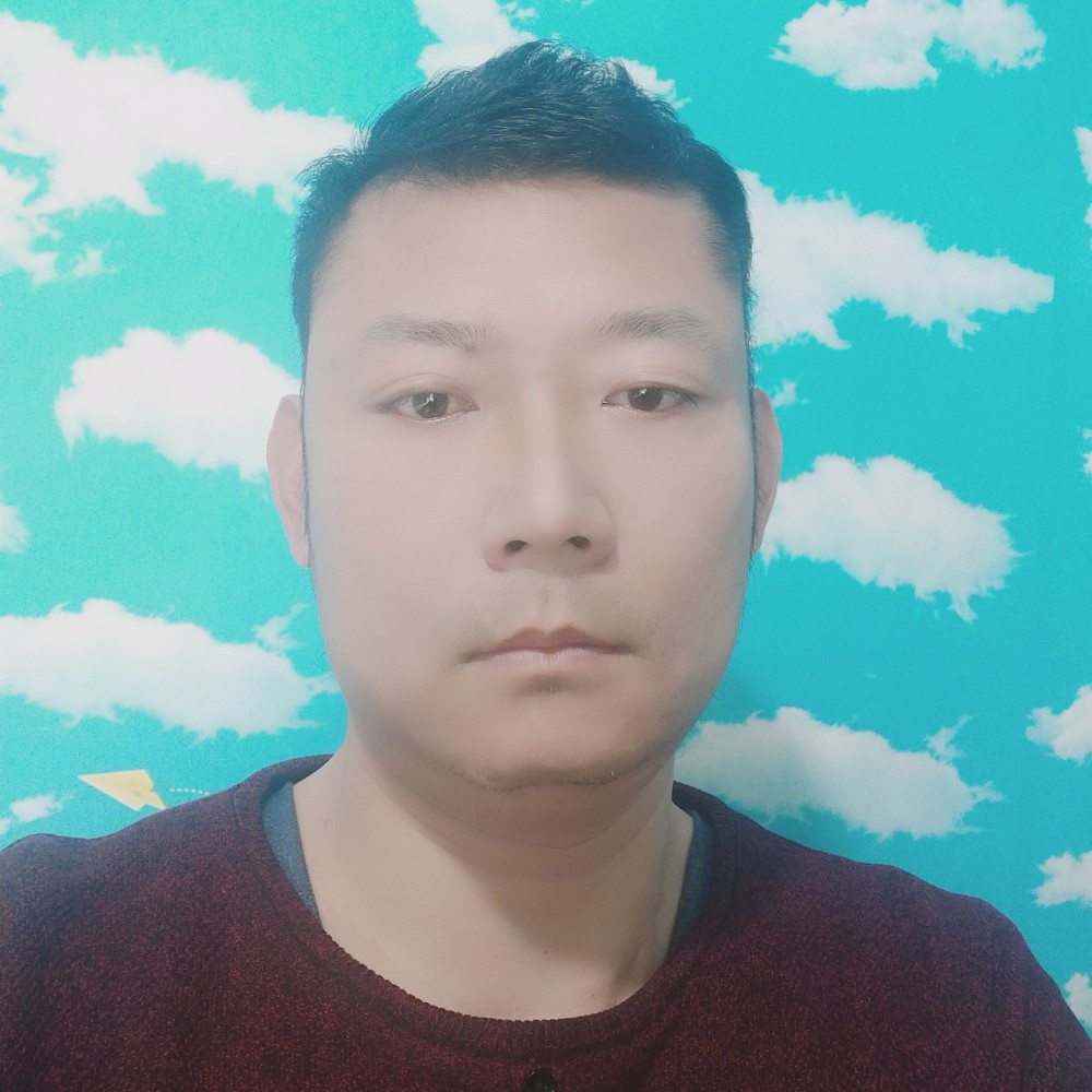 养狗的 木头的照片