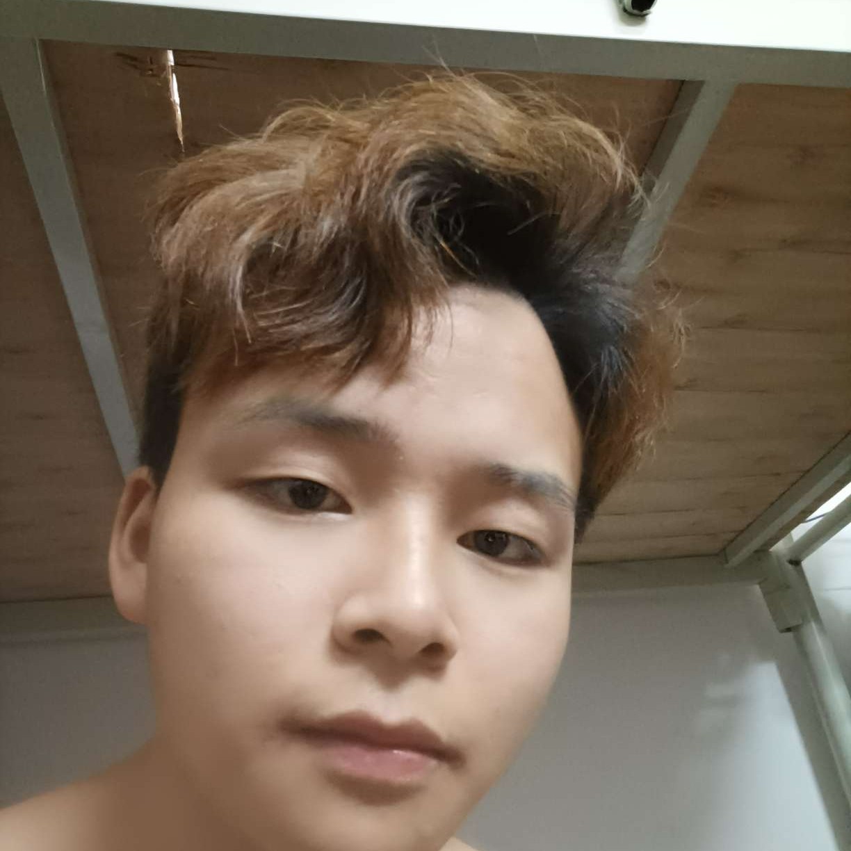 灵巧漫步逐风的照片