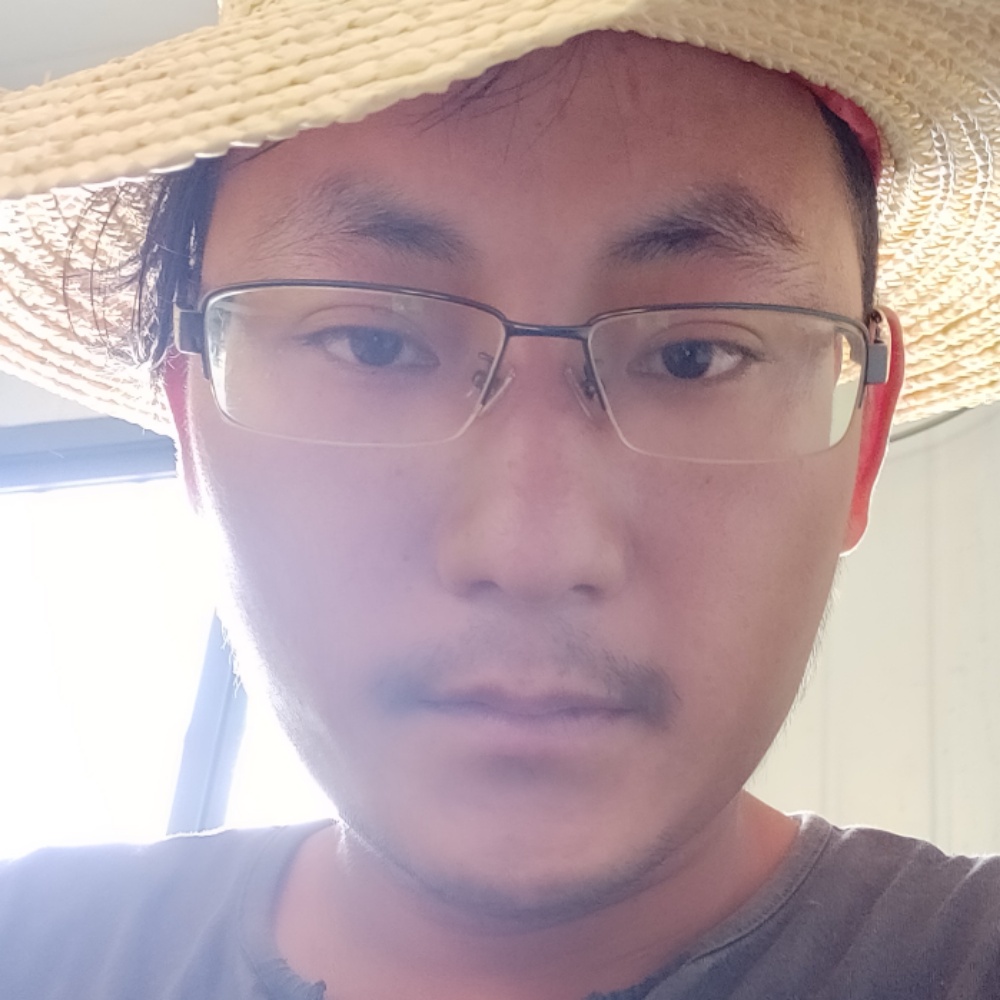 初雨打稳重的照片