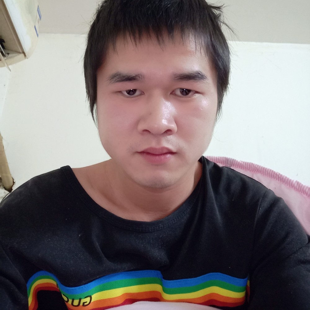 矮小有小猫咪的照片