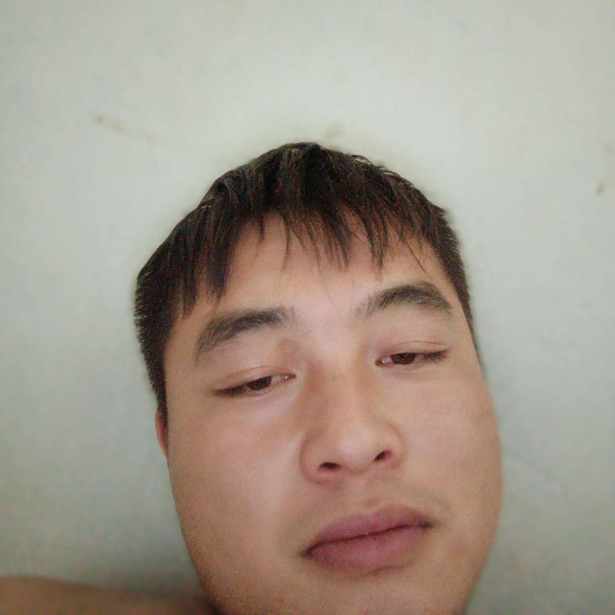 悲欢独自承担的照片
