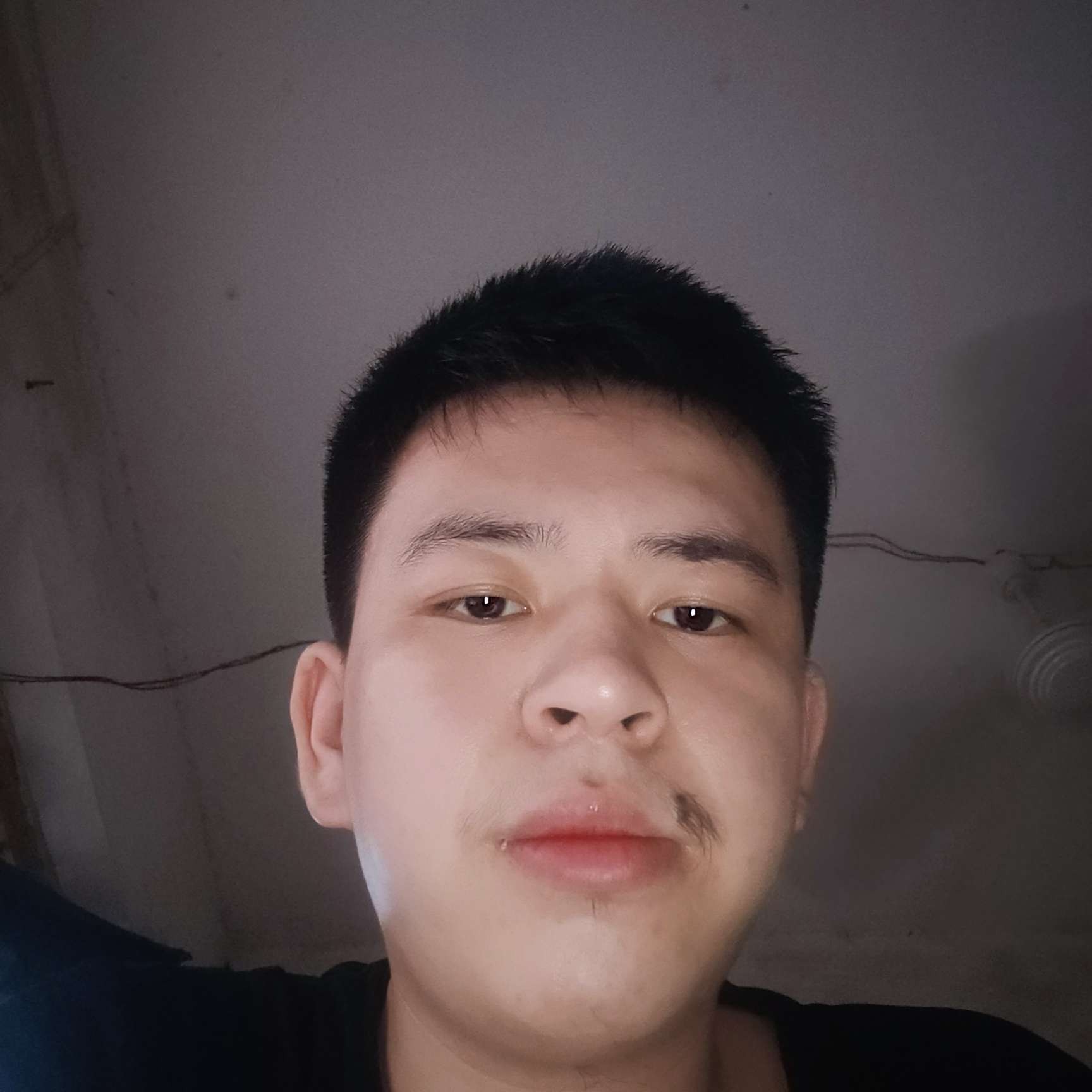 生动扯情殇的照片