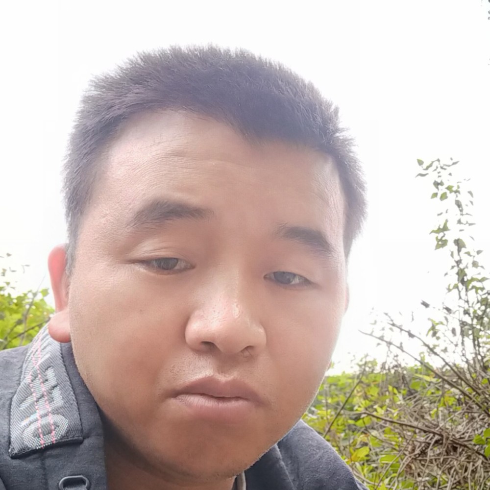 虎友的照片