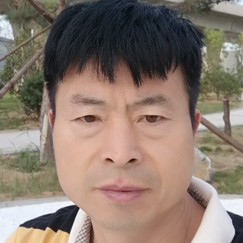 红树栖岸的照片