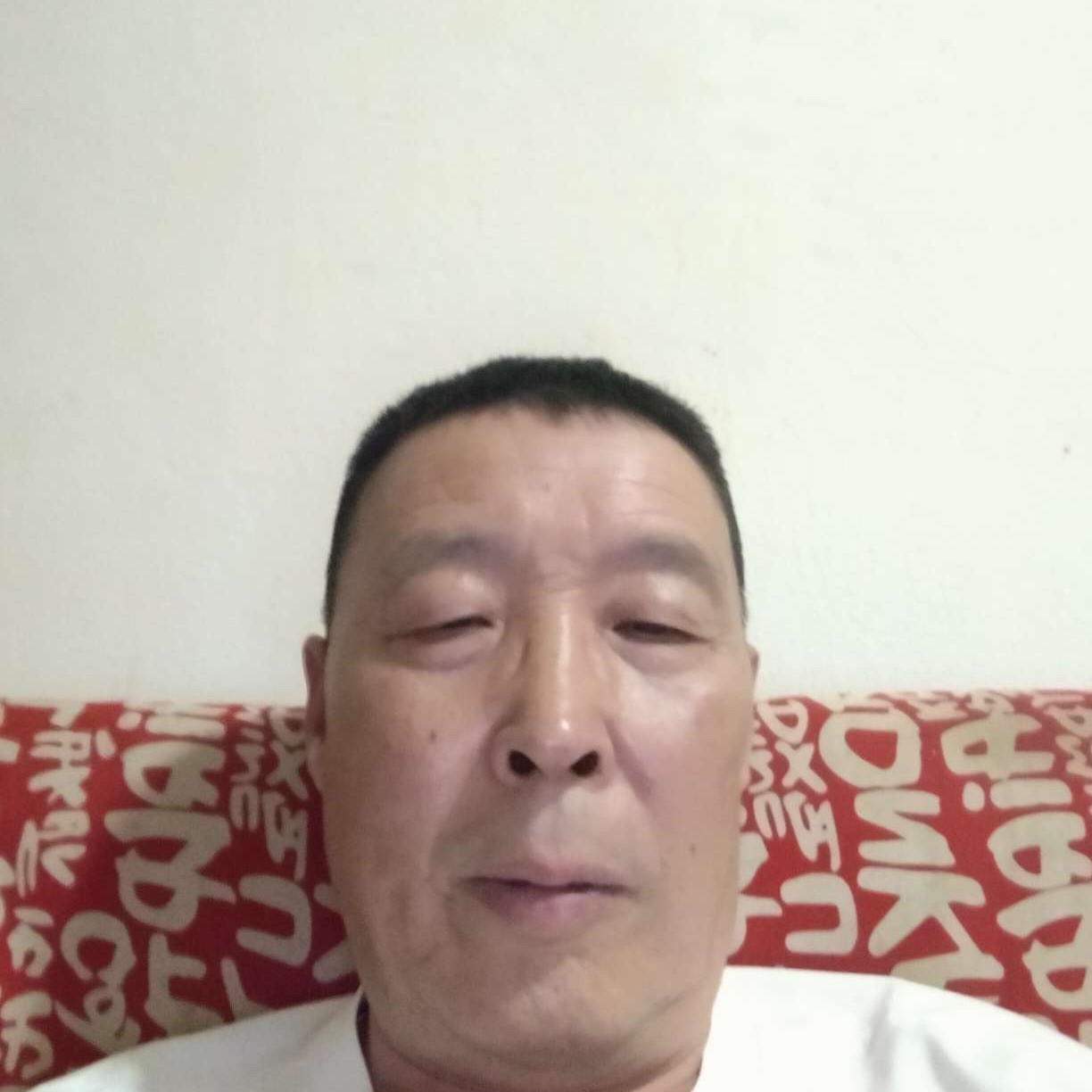 斑马蹁跹忧伤的照片