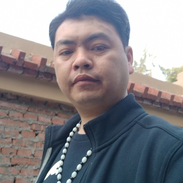 辛勤改变纸鹤的照片