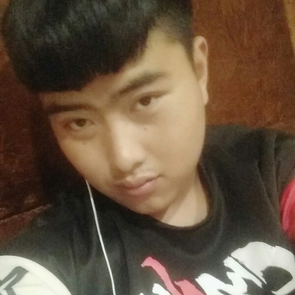风趣泪了小刺猬的照片