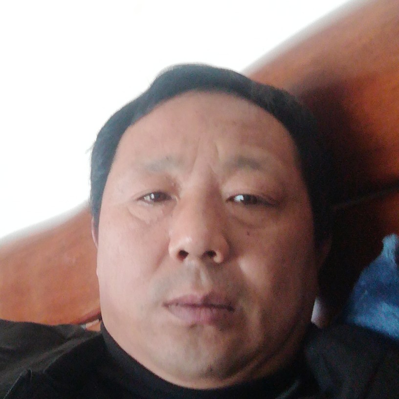 白猫给阳光的照片