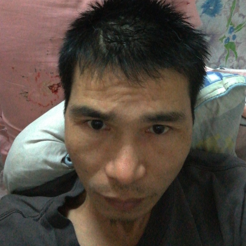 the  rock的照片