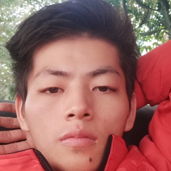 蓝莓给美丽的照片