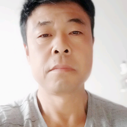 曲奇的舒适的照片